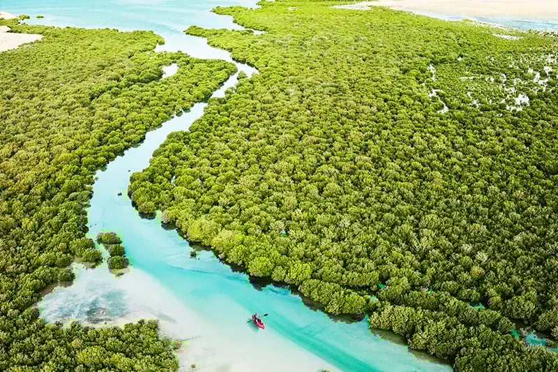 Mwc25 doha visitor guide purple island 800x533