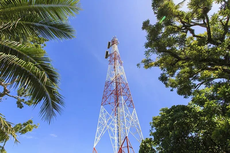 Seven views of future networks in MENA